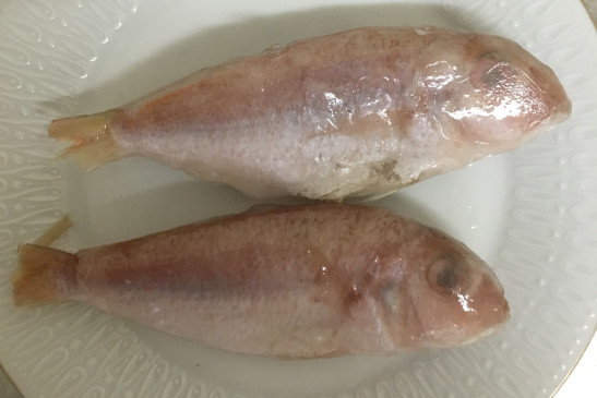 Angoli Fish